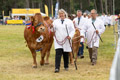 Malton Show 2024